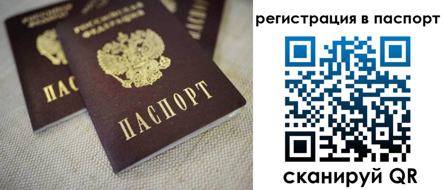 прописка гарантия в Зуевке